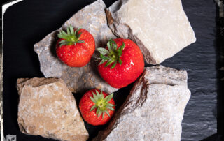 Drei rote Erdbeeren zwischen Muschelkalk Stücken liegend, fränkischer Spargel, fränkischer Muschelkalk, Foodfotografie, cookie kocht, Norbert Schmelz, Slow Food Deutschland